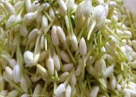 கண்பார்வை குறைபாடுசரியாக முல்லை பூ.