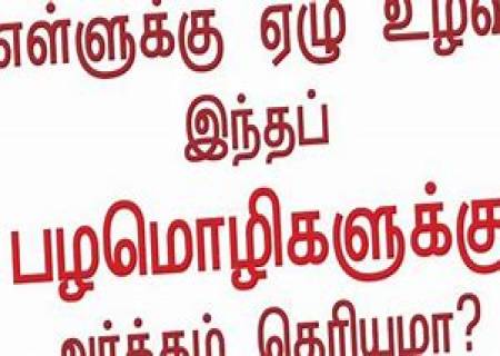 ‘‘எள்ளுக்கு ஏழு உழவு’’