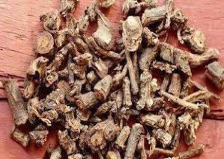 உடலுக்குக் குளிர்ச்சியைத் தரும் நன்னாரி வேர்.