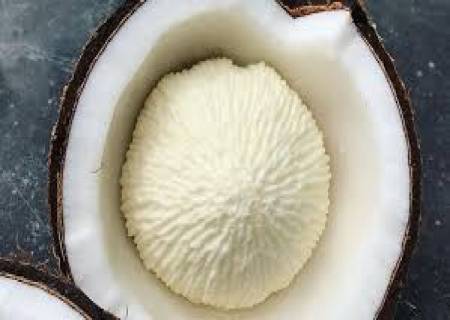 ரத்தத்தில் சேரும் கெட்ட கொழுப்பை கரைக்கும்தேங்காய் பூ.