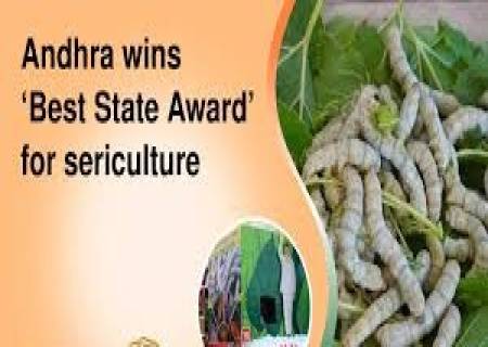 பட்டு வளர்ப்புக்கான'சிறந்த மாநில விருதை' ஆந்திரா வென்றது.