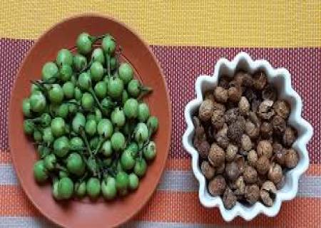 ஊட்டச்சத்துக்கள் நிறைந்துள்ள சுண்டக்காய்.