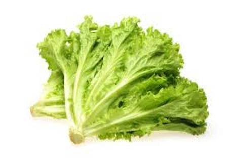 நரம்பு மண்டலம் வலுப்பெற லெட்யூஸ் கீரை