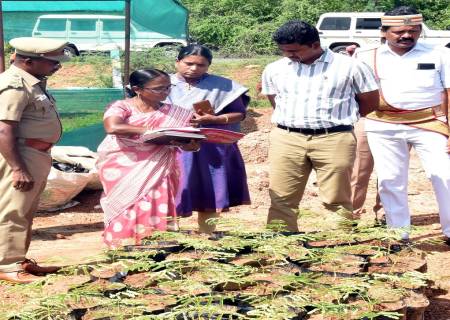 இராஜபாளையம் மற்றும் வத்திராயிருப்பு ஊராட்சி ஒன்றியப்பகுதிகளில் மேற்கொள்ளப்பட்டு வரும் வளர்ச்சித் திட்டப்பணிகள் மற்றும் அரசு திட்டங்களின் செயல்பாடுகள் குறித்து ஆய்வு.