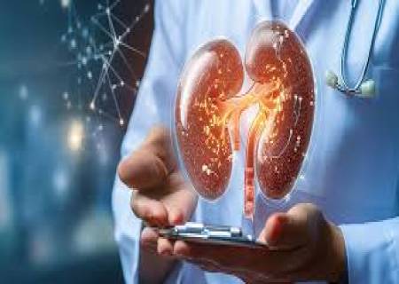 சிறுநீரகங்கள்