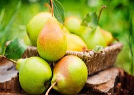 ரத்தஅழுத்தத்தை கட்டுப்படுத்தும் பேரிக்காய்.