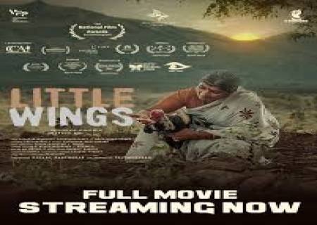 யுடியூப்பில் வெளியான 'லிட்டில் விங்ஸ்' தேசிய விருது பெற்றது.