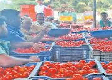 தெற்காசியாவின் மிகப் பெரிய காய்கறிச்சந்தை, ஒட்டன்சத்திரத்தில் (திண்டுக்கல்மாவட்டம்) உள்ள காந்தி மார்க்கெட்.