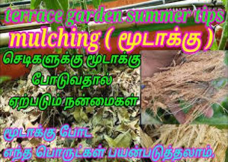 .வெயிலில் செடிகளை காப்பாத்த….