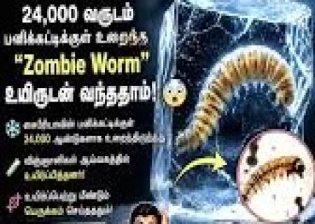 இயற்கையின் அதிசயம்.