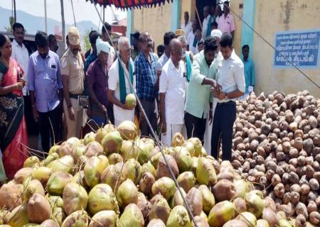 தென்னை விவசாயிகள் மின்னணு தேசிய வேளாண் சந்தை மூலம் நேரடியாக வியாபாரிகளுக்கு தேங்காய் விற்பனை செய்யும் திட்டத்தினை மாவட்ட ஆட்சித்தலைவர்  அவர்கள் தொடங்கி வைத்தார்.