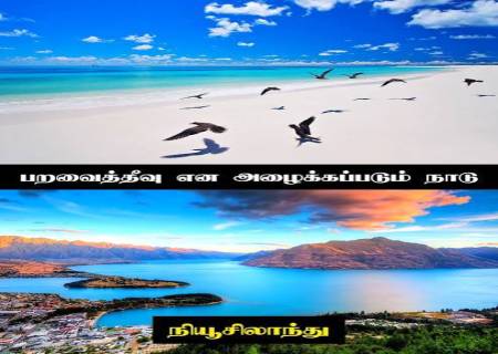 புறாப் பந்தயம் தோன்றிய இடம்,.
