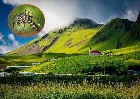 உலக நாடுகளின் விசித்திரமான உண்மைகள் .