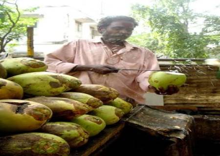 வெயில் தாக்கம்: ராஜபாளையத்தில் இளநீர் விலை கிடுகிடு உயர்வு.