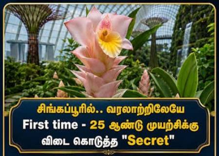 சிங்கப்பூரில்.. வரலாற்றிலேயே First time - 25 ஆண்டு முயற்சிக்கு விடை கொடுத்த "Secret"