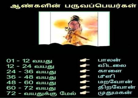 ஆண்களின் பருவப்பெயர்கள்.