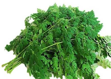 முட்டையை விட 10 மடங்கு சத்து அதிகம் என்று சொல்வதைவிட,முருங்கைக்கீரையில் இருக்கும் இந்த சத்துக்களை தெரிந்துகொள்ளுங்கள்.