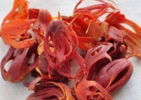 ஜாதிபத்திரி பற்றி தெரிந்து கொள்ள வேண்டியவை!