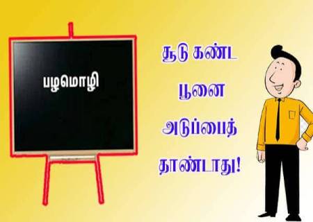  சூடு கண்ட பூனை அடுப்பங்கரையை நாடாது.