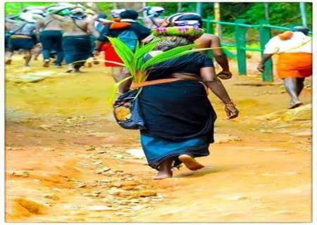 ஐயப்ப பக்தர்களில் ஒரு சிலர் தென்னங்கன்று எடுத்துசெல்கிறார்களே ஏன் தெரியுமா?