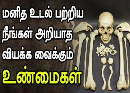 மனித உடலைப் பற்றி  அறியாத சுவாரஸ்ய உண்மைகள்.