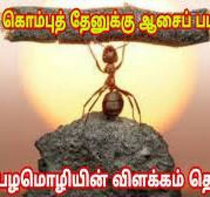 முடவன் கொம்புத் தேனுக்கு ஆசைப்பட்டதைப் போல