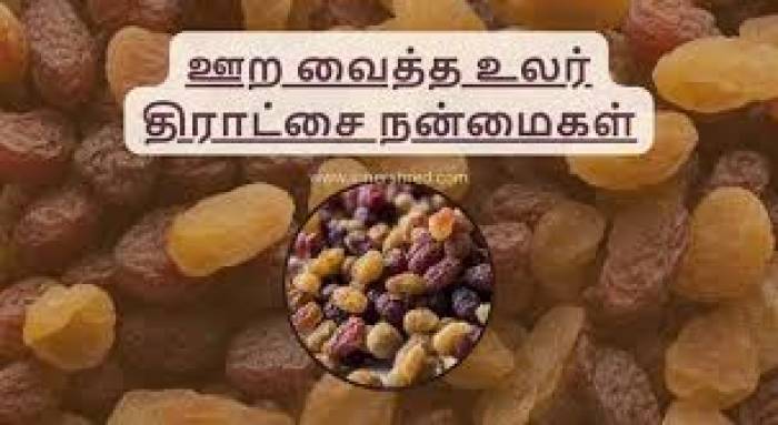 நோய் எதிர்ப்பு சக்தி உள்ள, ஊறவைத்த உலர் திராட்சை