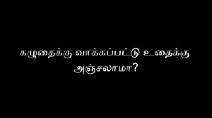 கழுதைக்கு வாக்கப்பட்டு உதைக்கு அஞ்சலாமா?