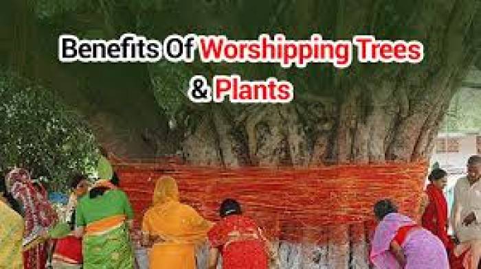 'மரமண்டை மனிதா'