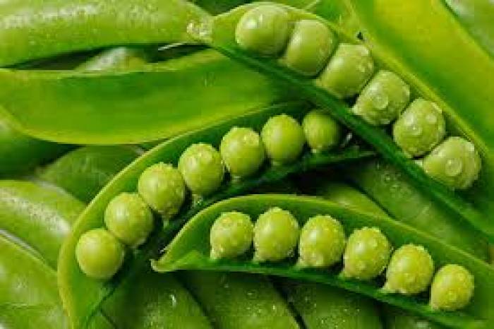 ஜீரண உறுப்புகள் நன்கு செயல்பட பச்சைப் பட்டாணி