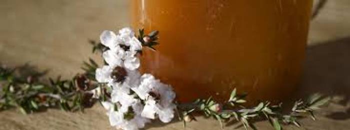  புற்றுநோயைக் கட்டுப் படுத்தும் மனுகா தேன் (Manukahoney). 