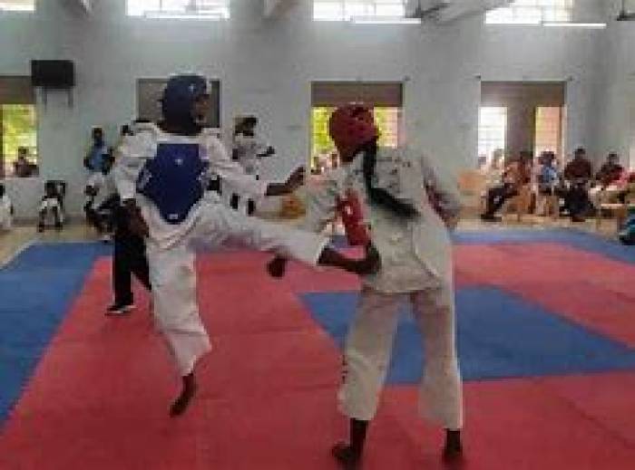 ராஜபாளையம் கலை மன்றத்தில் பள்ளி, கல்லுாரி மாணவர்கள் பங்கேற்றமாவட்ட டேக்வாண்டோ போட்டி