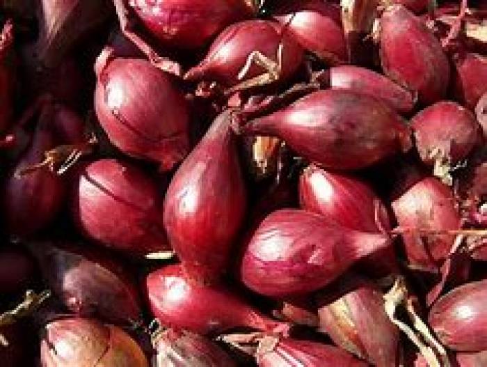 வெங்காயம் வெயில் காலத்தில் உடல் பாதுகாப்புக்கு பயன் தரும்