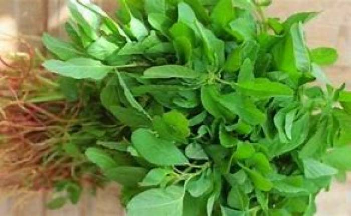 சிறுகீரை சாப்பிடுவதால் .....