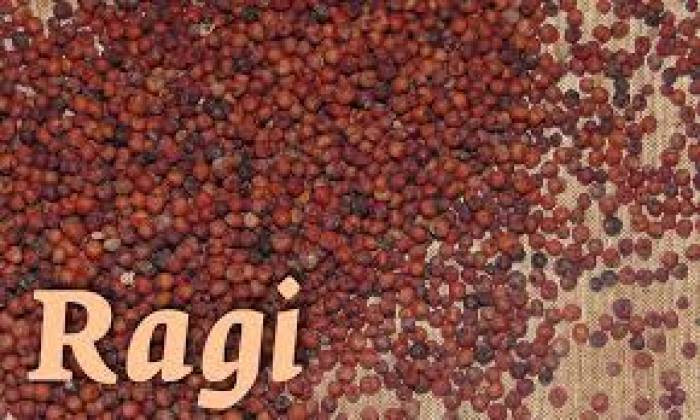கேழ்வரகில் சமைத்த உணவுகளை அதிகம் சாப்பிட வேண்டும்