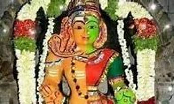 திருச்செங்கோடு அர்த்தநாரீஸ்வரர்.