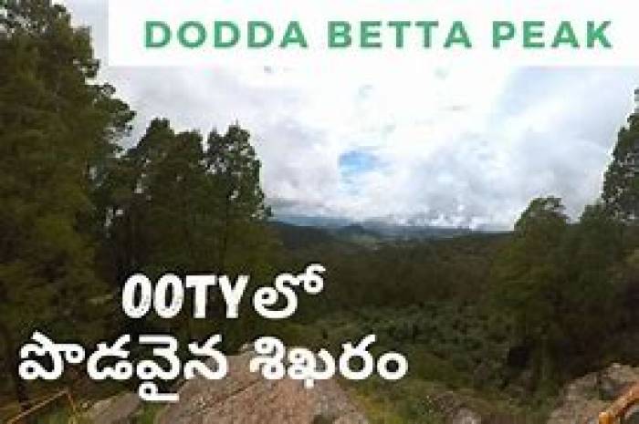 . தென்னிந்தியாவின்உயரமானமலைச்சிகரம்,