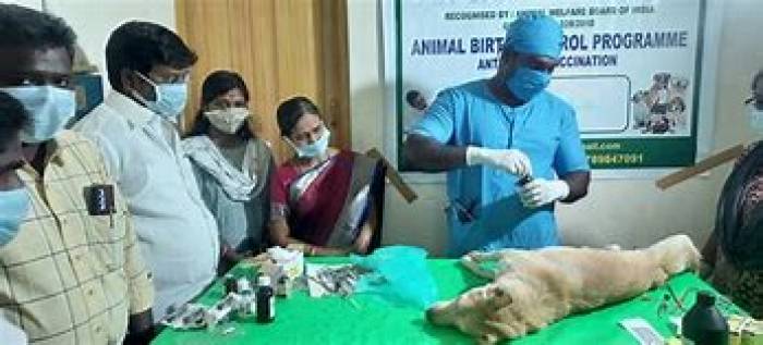 ராஜபாளையம் நகராட்சியில் பல லட்சம் செலவில் புதுப்பித்துள்ள நாய்கள் கருத்தடை அறுவை சிகிச்சைமையத்தை செயல் பாட்டிற்கு கொண்டு வர வேண்டும்.