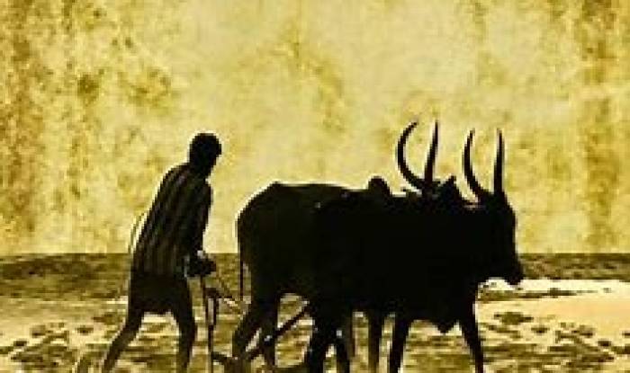  ஆழ உழுவதை விட அகல உழுவதே மேல்