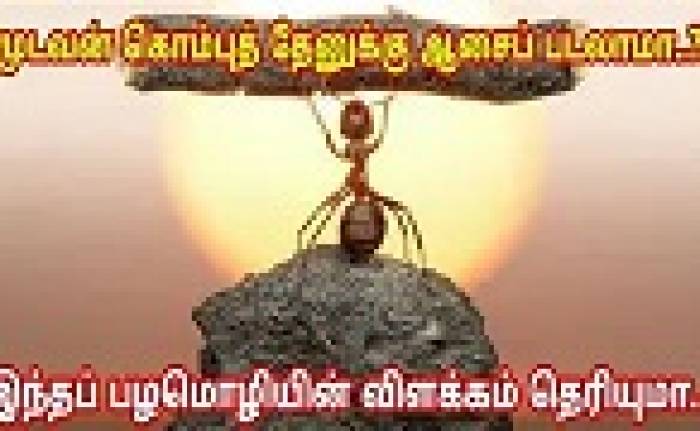 முடவன் கொம்புத் தேனுக்கு ஆசைப்பட்டதைப் போல.