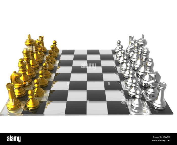 செஸ்  11th  AND 12th may.