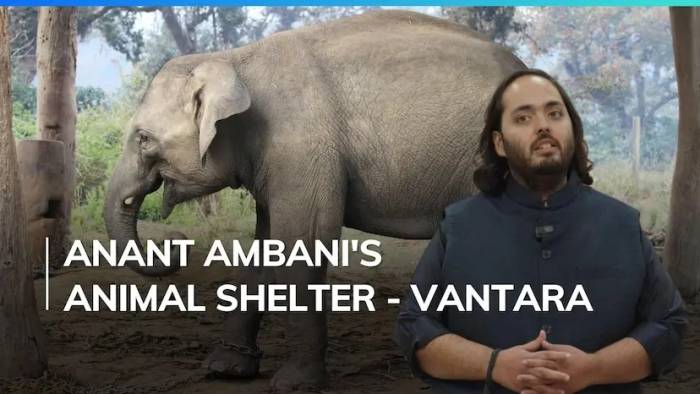 விலங்கு நலனுக்கான ஒரு மாதிரி வந்தாரா.