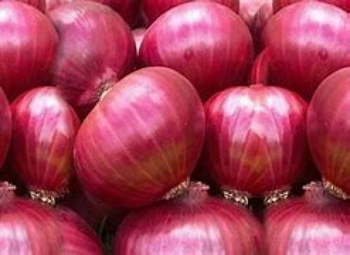 வெங்காயம்தாவரங்களில் இருக்கும் நுண்ணியசெல்லுலோஸ் நார்களாலான 'நானோ செல்லுலோஸ்’.