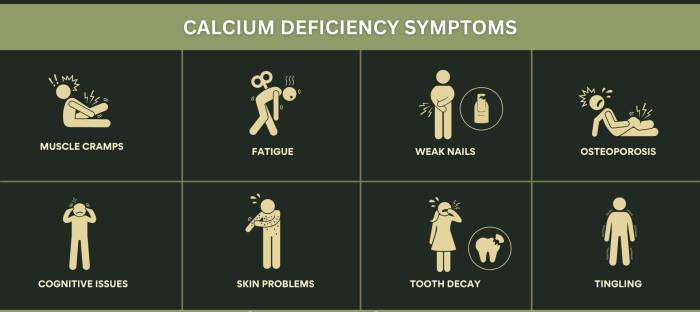 கால்சியத்தின் பலன்