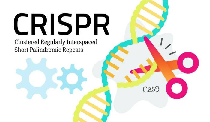 மரபணு மாற்ற CRISPR-Cas9 நுட்பம் 