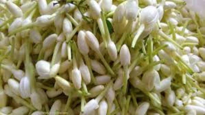 கண்பார்வை குறைபாடுசரியாக முல்லை பூ.