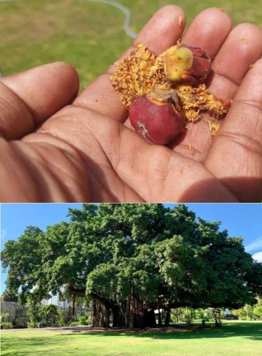 சின்ன விஷயம் .
