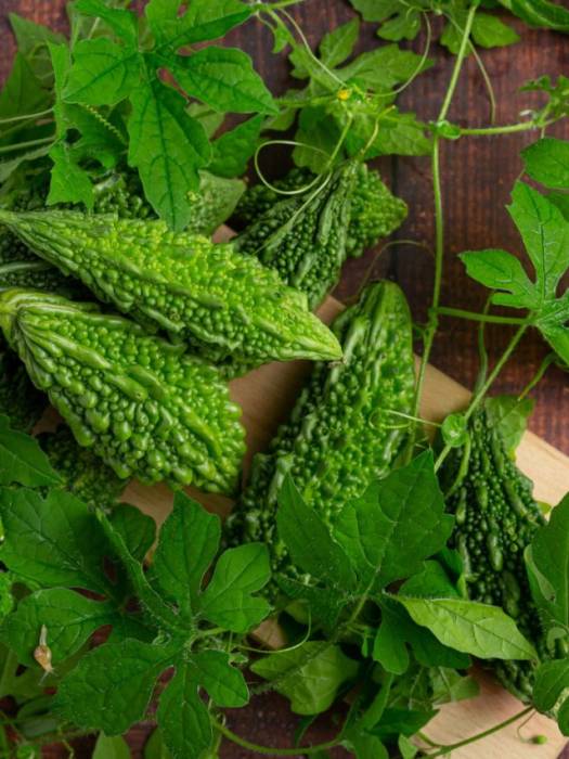 இன்சுலின் சுரப்பை அதிகரிக்கச் செய்யும் பாகற்காய்