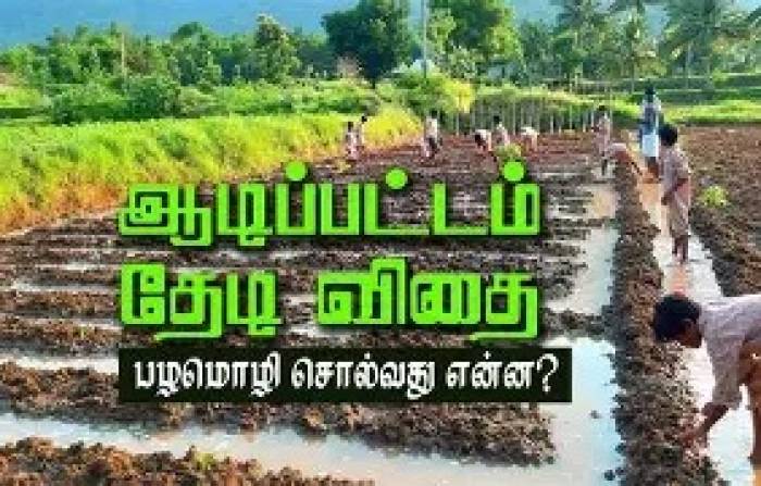 ஆடி பழமொழி