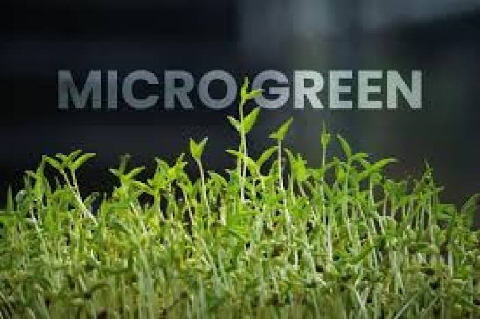 ஆரோக்கியமான வாழ்க்கை முறைக்கு 